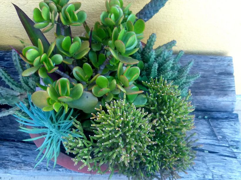 MINHA CASA 7