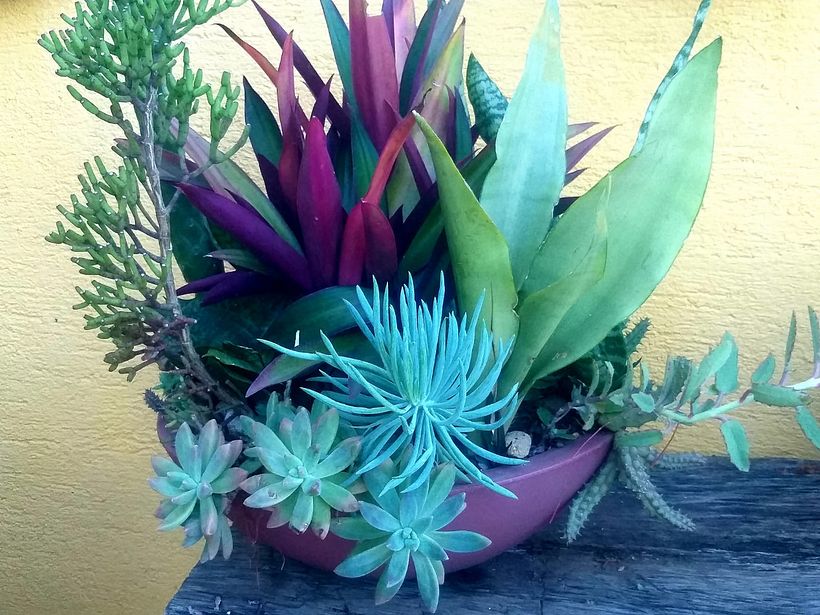 MINHA CASA 8