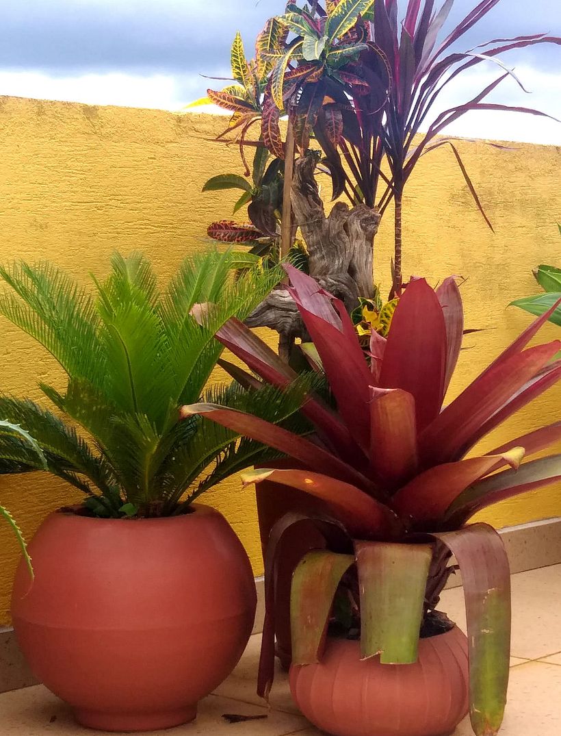 MINHA CASA 11