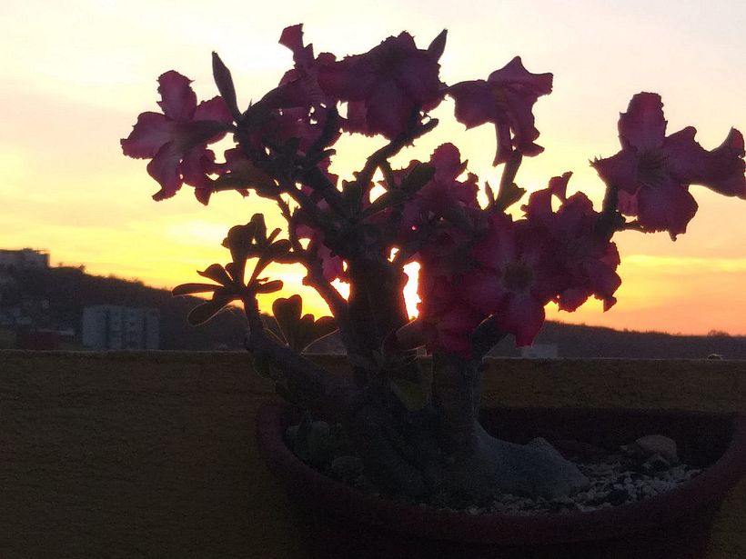 MINHA CASA 18