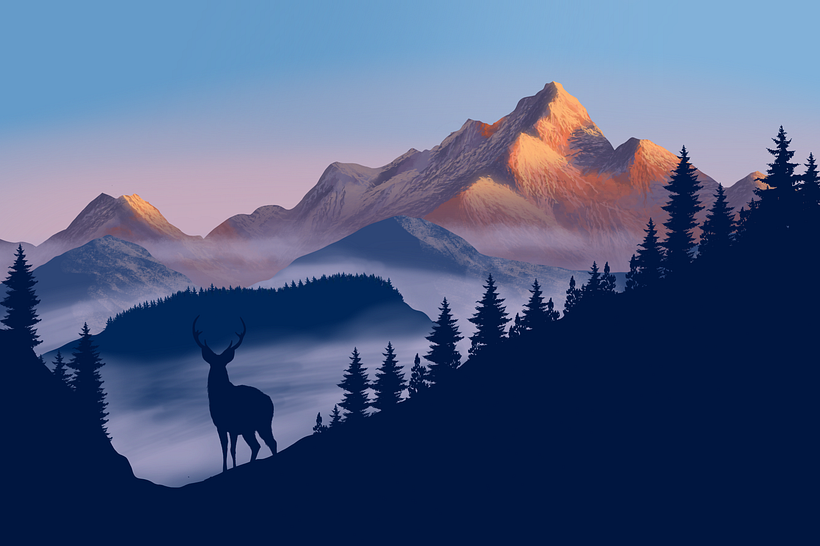 Learning from Tutorials 11