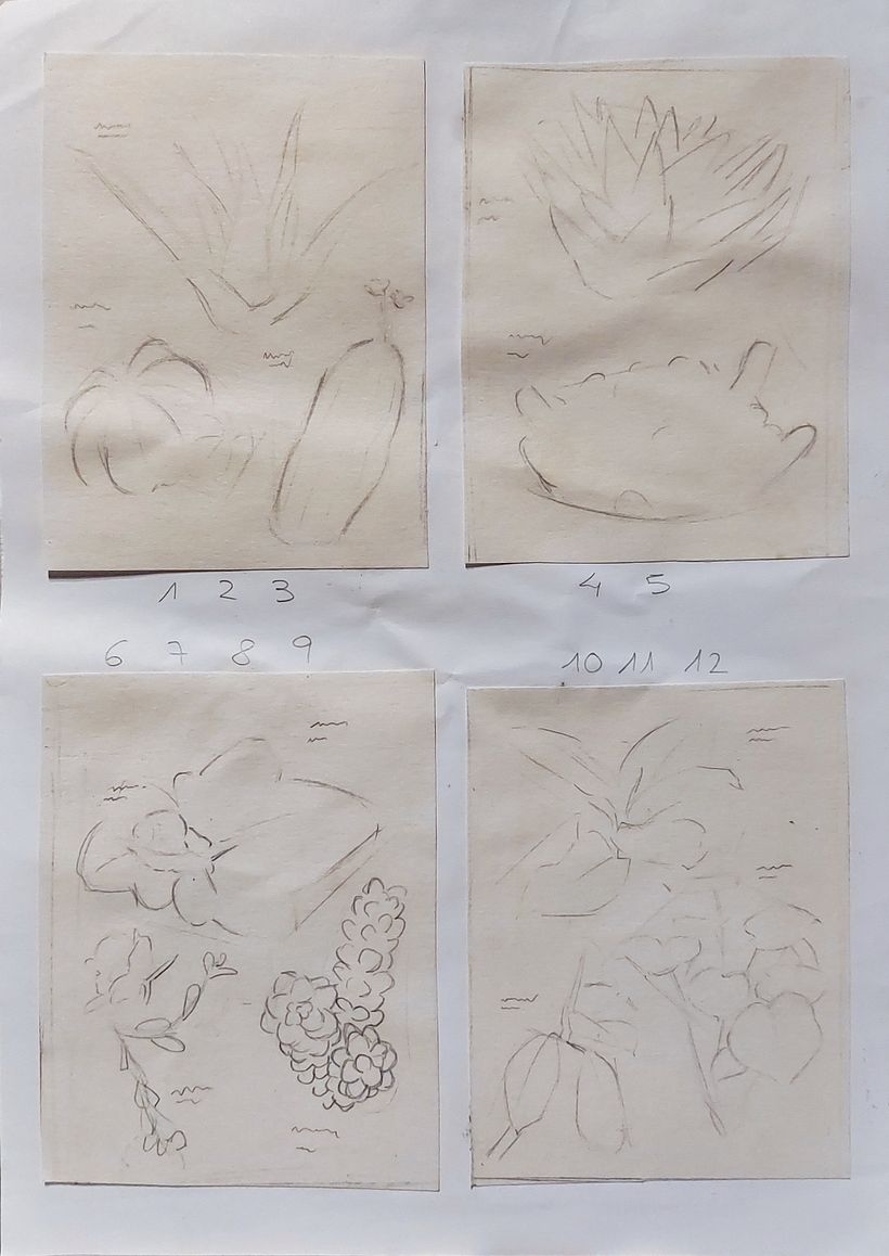 Herboriste aquarelliste 1