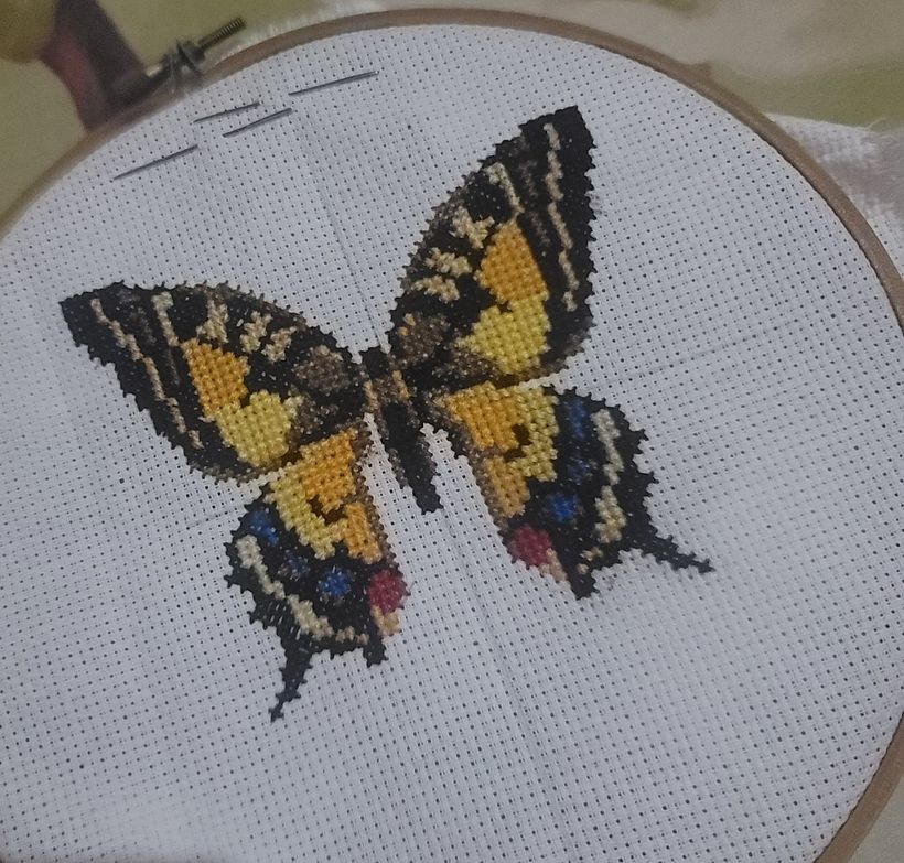 Proyecto final. Punto cruz moderno con efecto fotográfico. 2