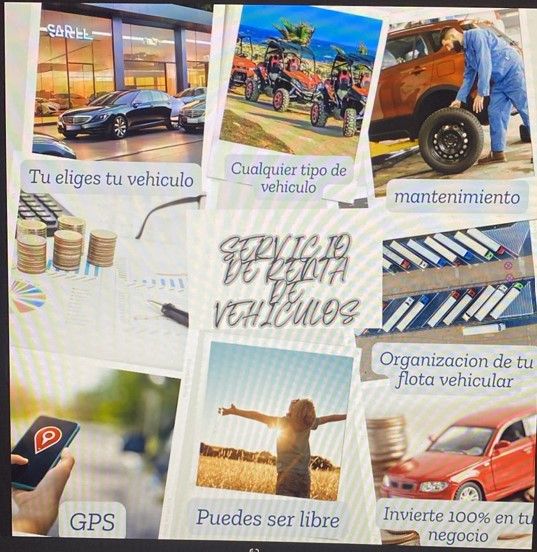 Servicio de renting vehicular 1
