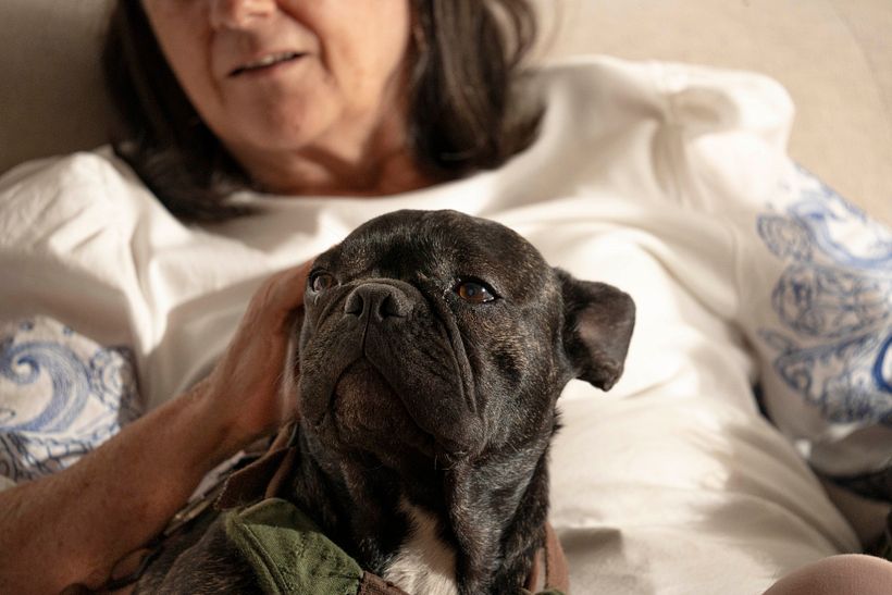 Mi proyecto del curso: Fotografía lifestyle de perros 7