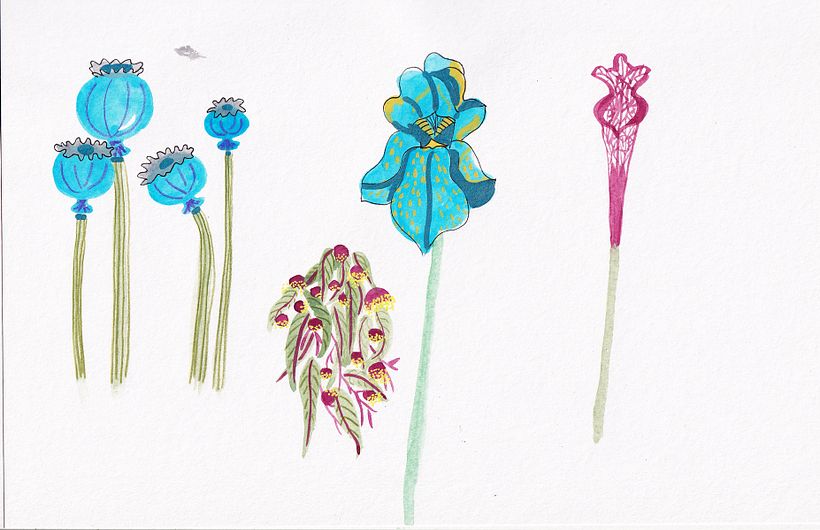 My project for the course: Expressive Mixed-Media Illustration: Find your creative flow 1