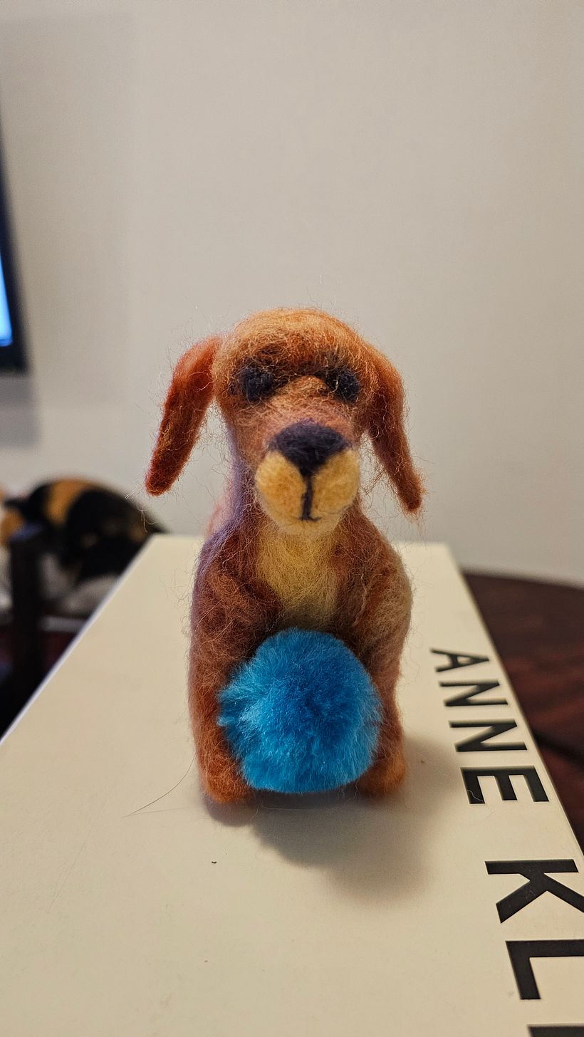 Perro café juguetón 1