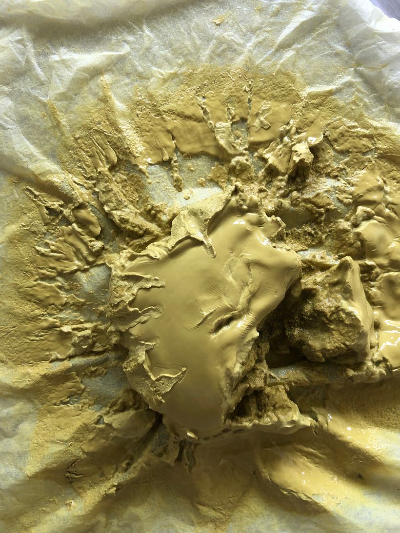Bio Color Palette Proceso 1 4
