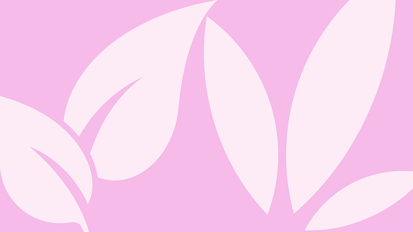 REBRANDING DE BIOVÈNE 13