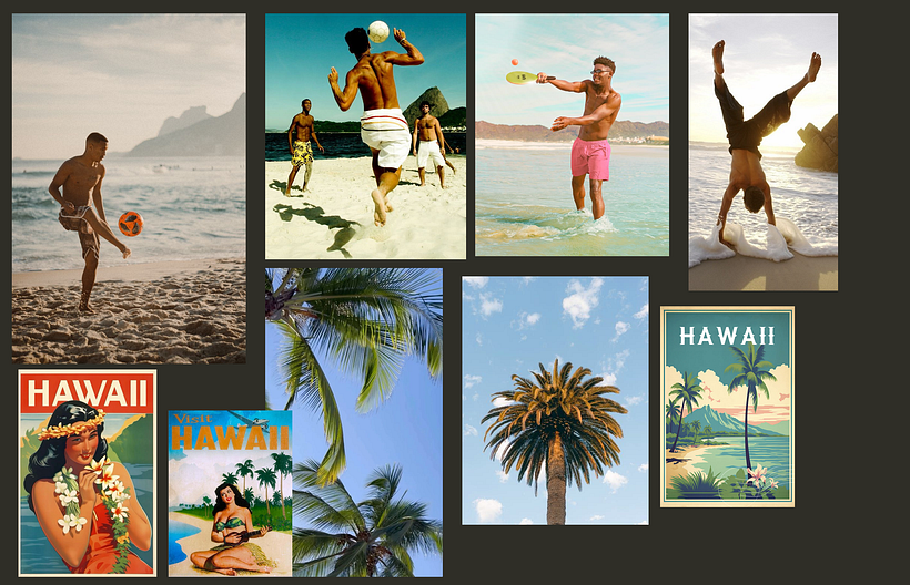 Beer Palms and Goals, project design 1