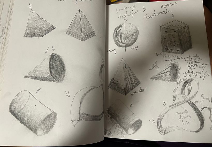 All drawings done from this course.  1
