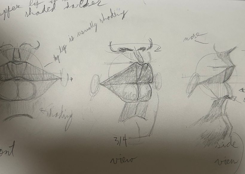 All drawings done from this course.  5