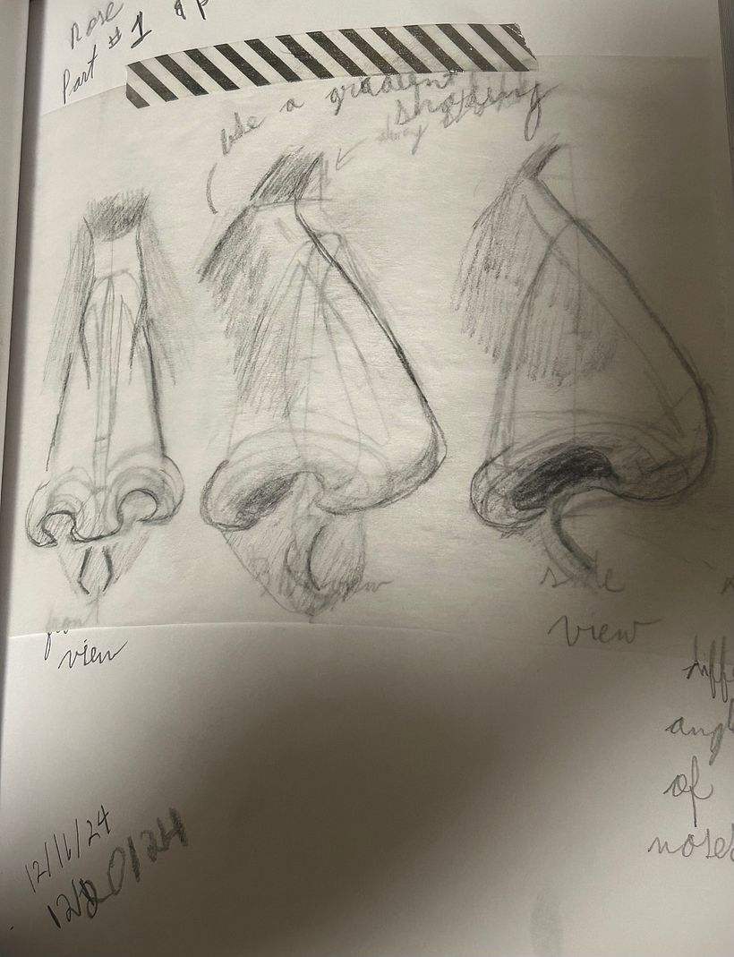 All drawings done from this course.  7