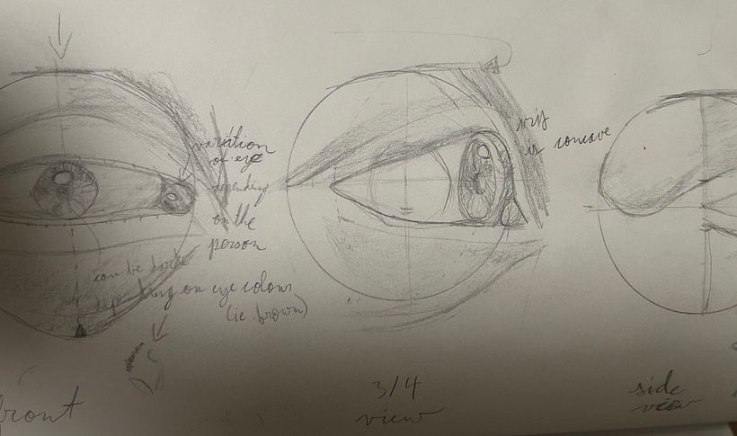 All drawings done from this course.  8
