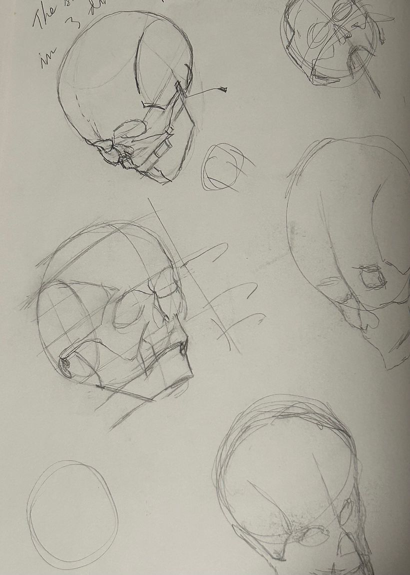 All drawings done from this course.  10