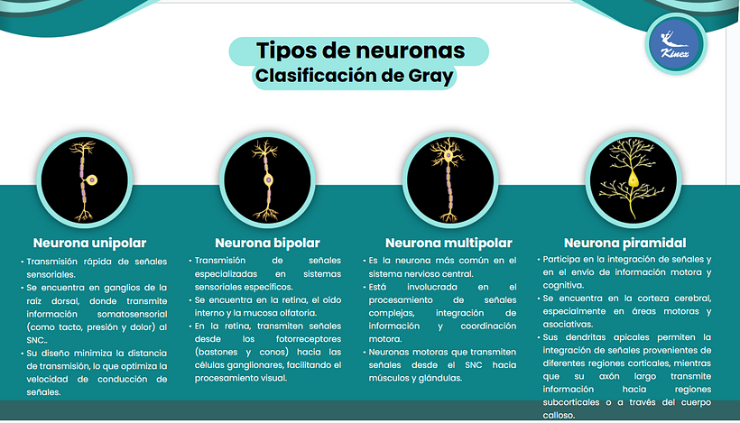 Curso informativo en Centro Kinesico 1