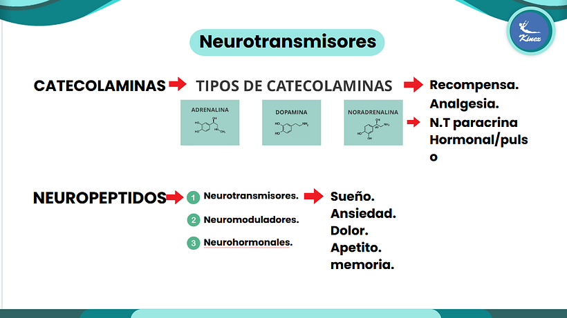 Curso informativo en Centro Kinesico 1