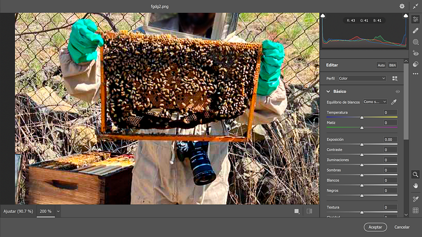 ¿De dónde viene la miel? 1
