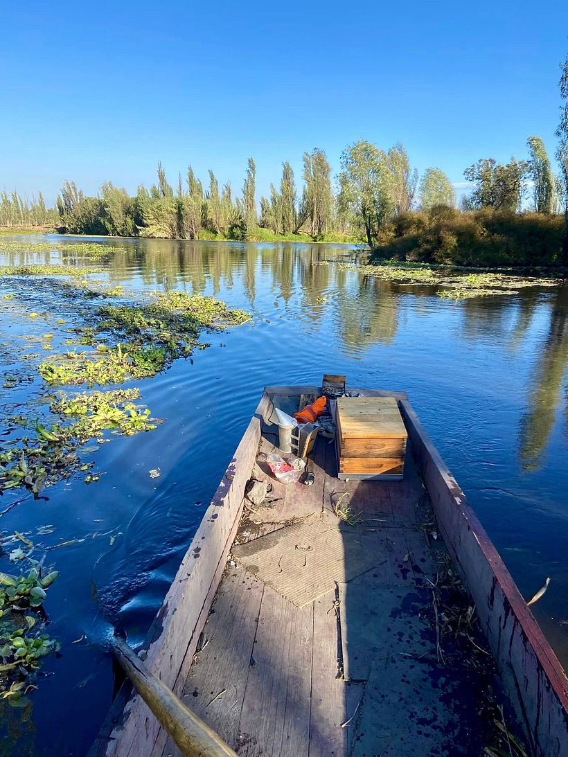 ¿De dónde viene la miel? 1