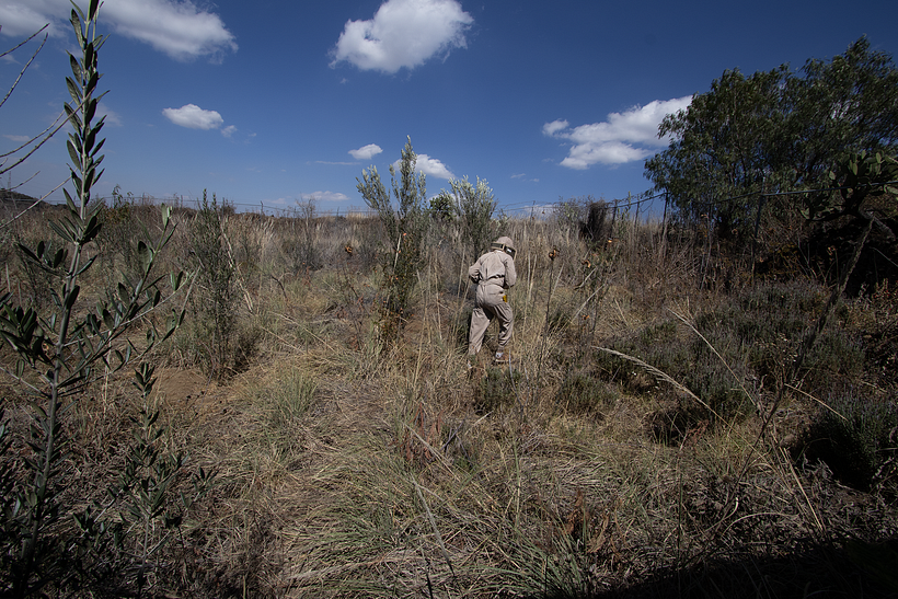 ¿De dónde viene la miel? 1