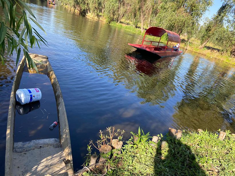 ¿De dónde viene la miel? 1