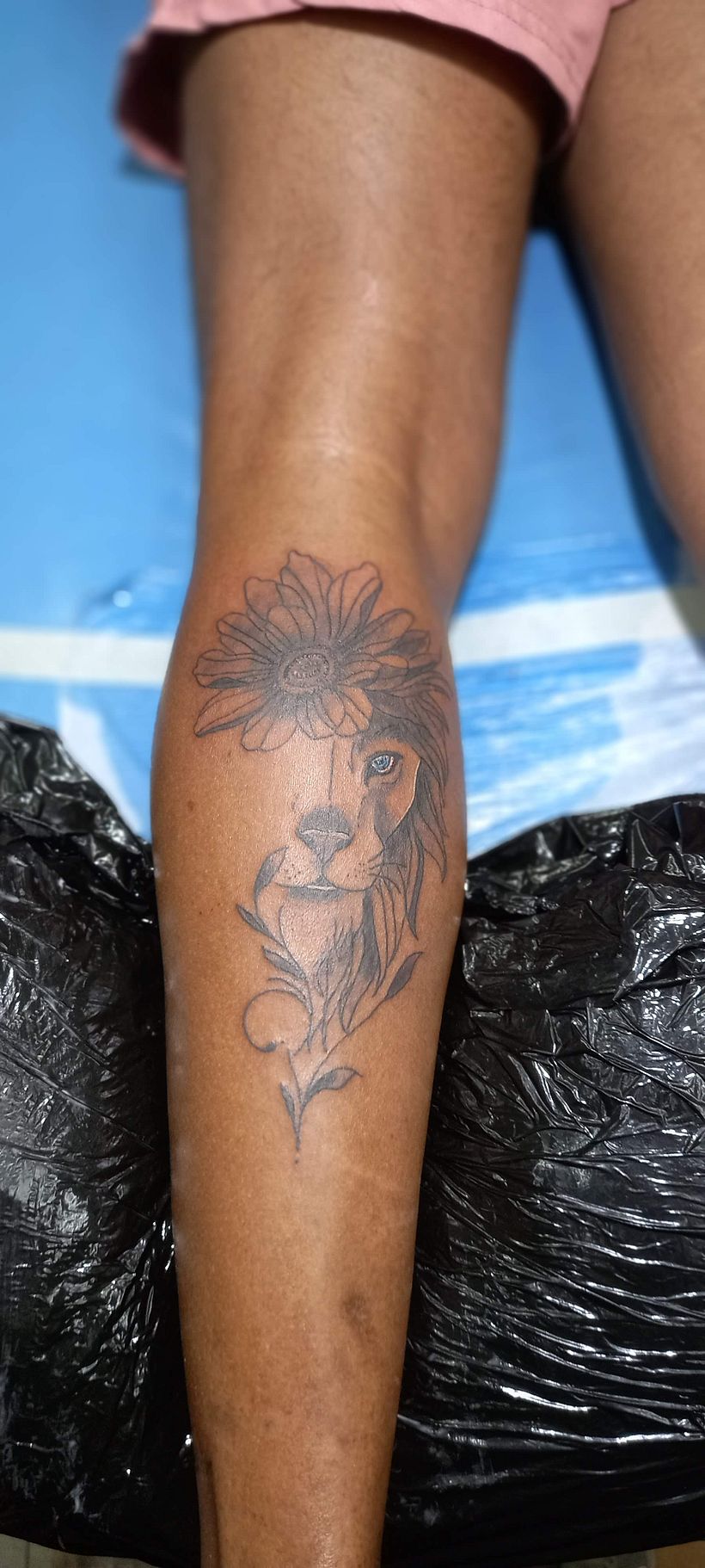León y flores  1