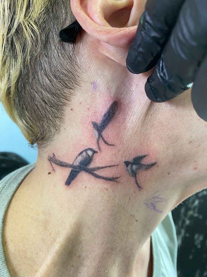 Three Little Birds 1