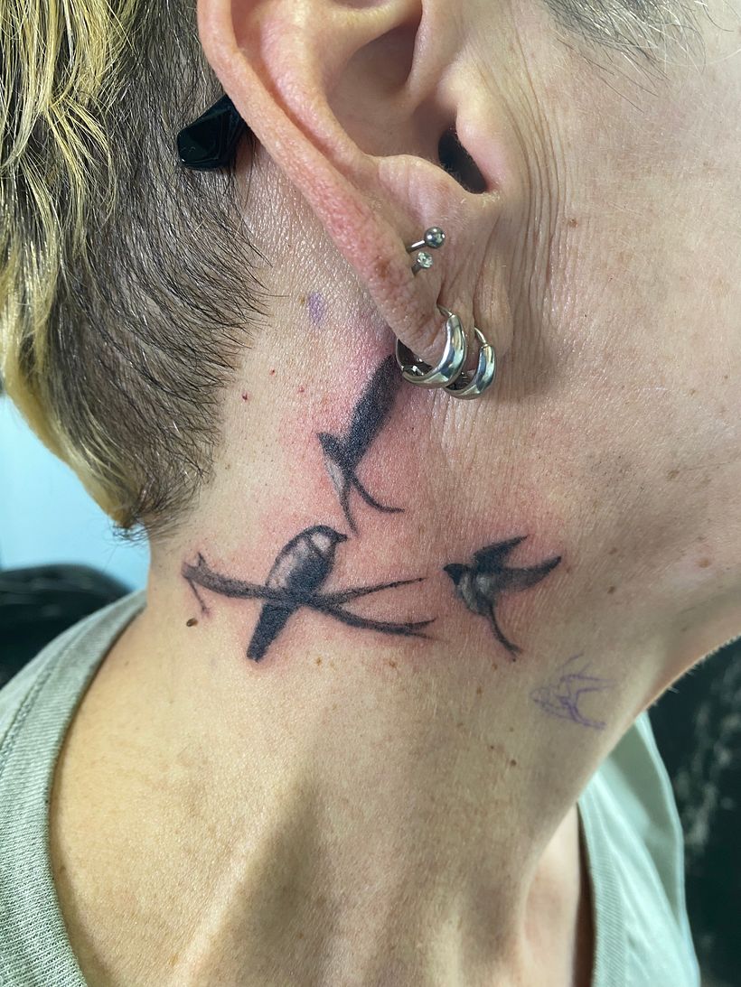 Three Little Birds 1