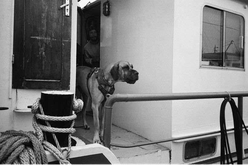 Analogue Street Photography 2