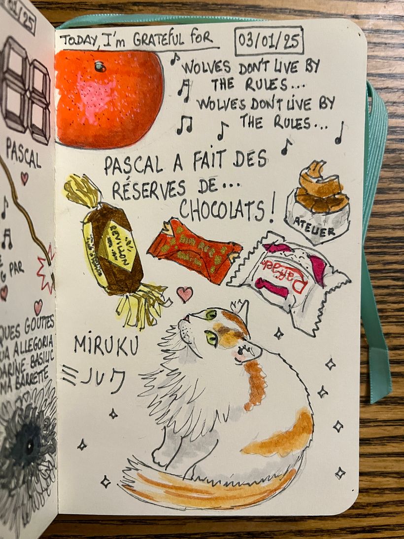 Carnet de gratitude : January 2025 sketchbook 1