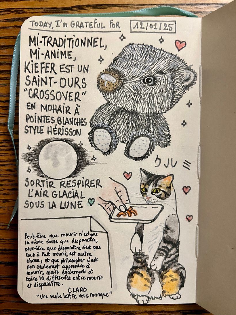 Carnet de gratitude : January 2025 sketchbook 1