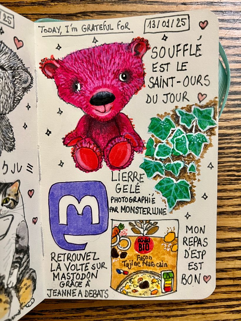 Carnet de gratitude : January 2025 sketchbook 1