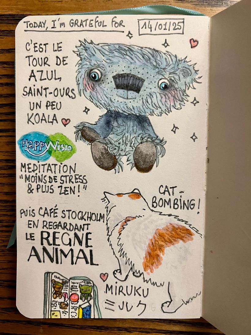 Carnet de gratitude : January 2025 sketchbook 1