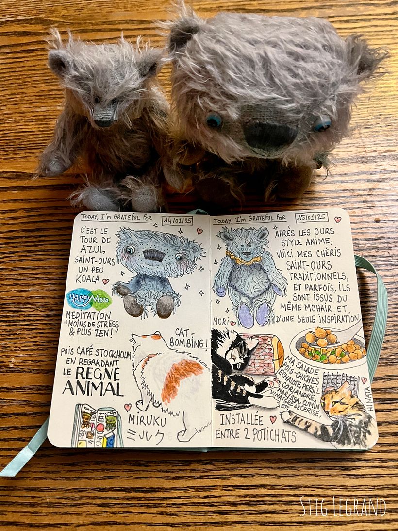 Carnet de gratitude : January 2025 sketchbook 1