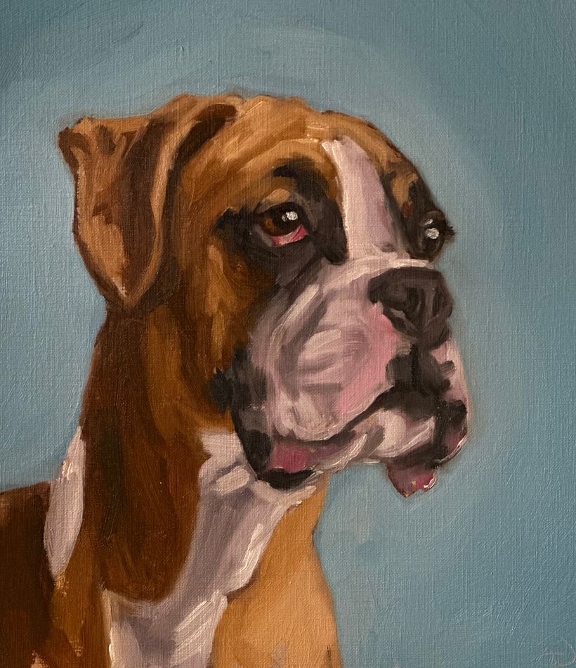Milie the boxer dog 1