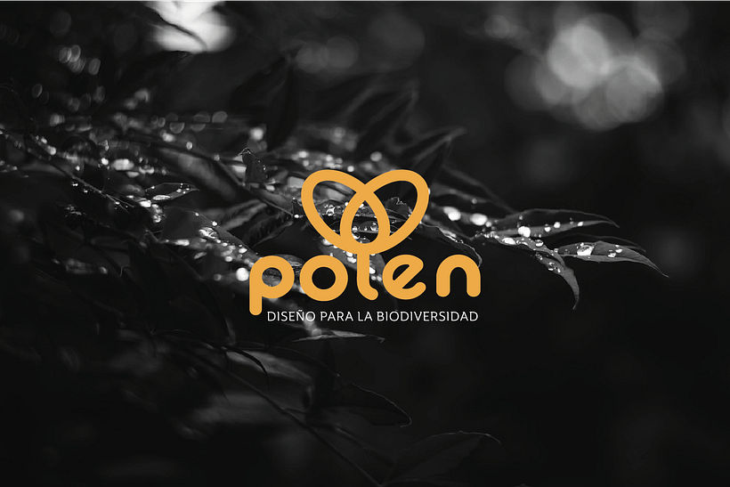 Project Polen | logo design 1