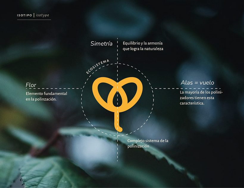 Project Polen | logo design 1