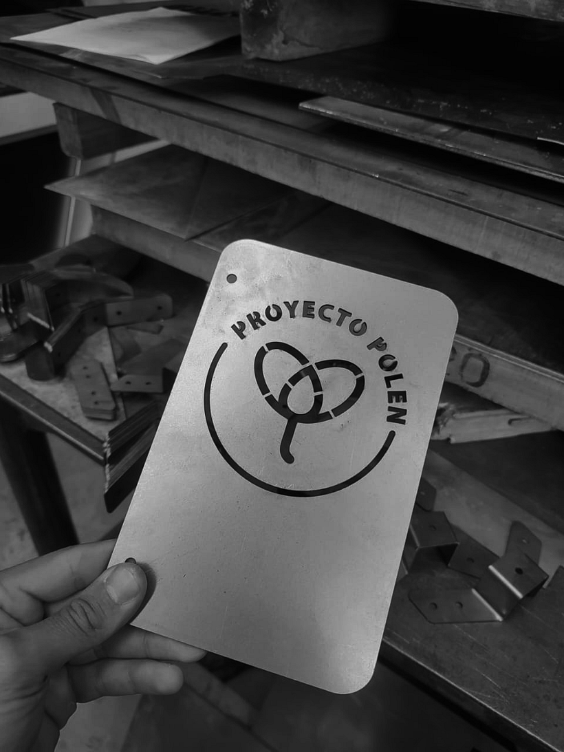 Project Polen | logo design 3