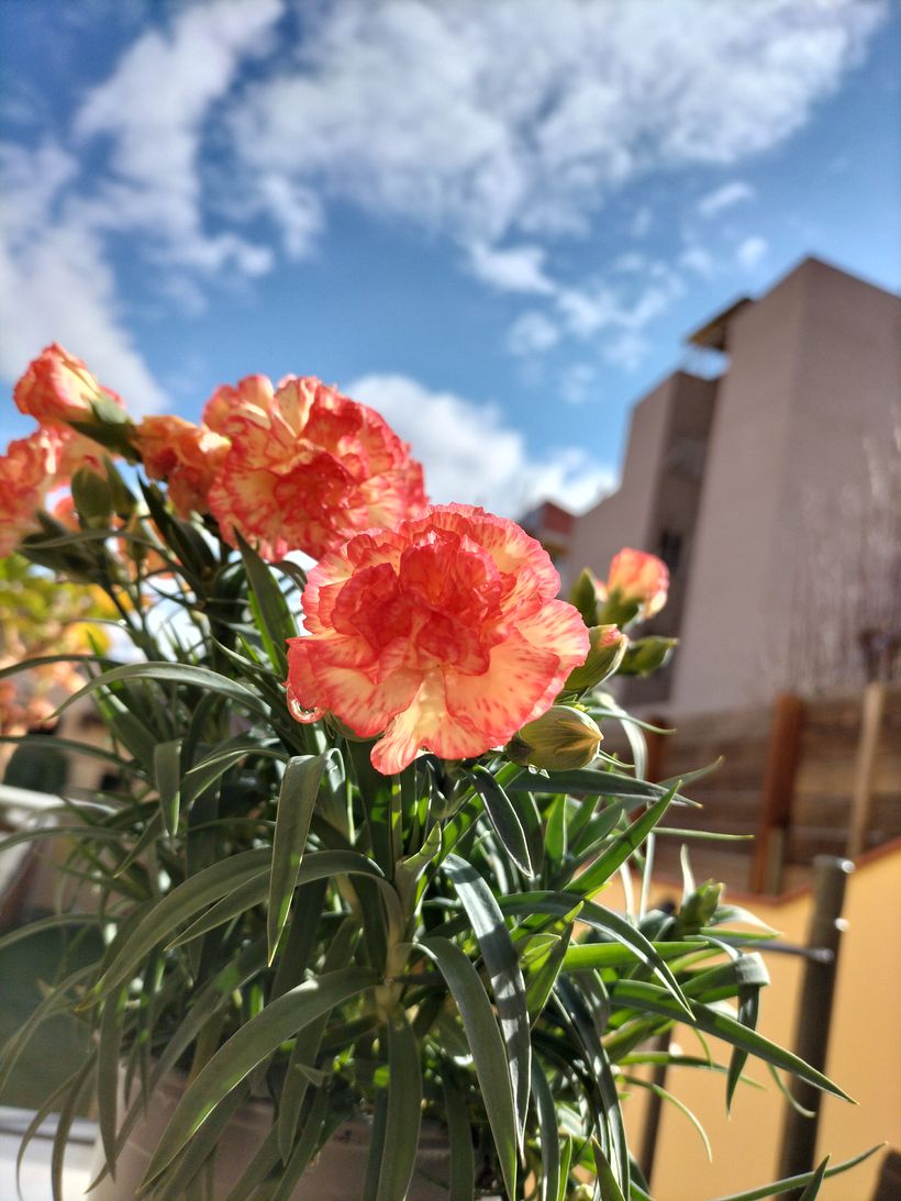 Sèries fotogràfiques de Cultura Audiovisual 1