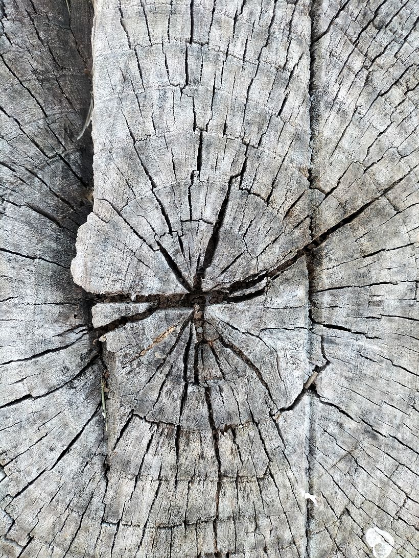 Sèries fotogràfiques de Cultura Audiovisual 3