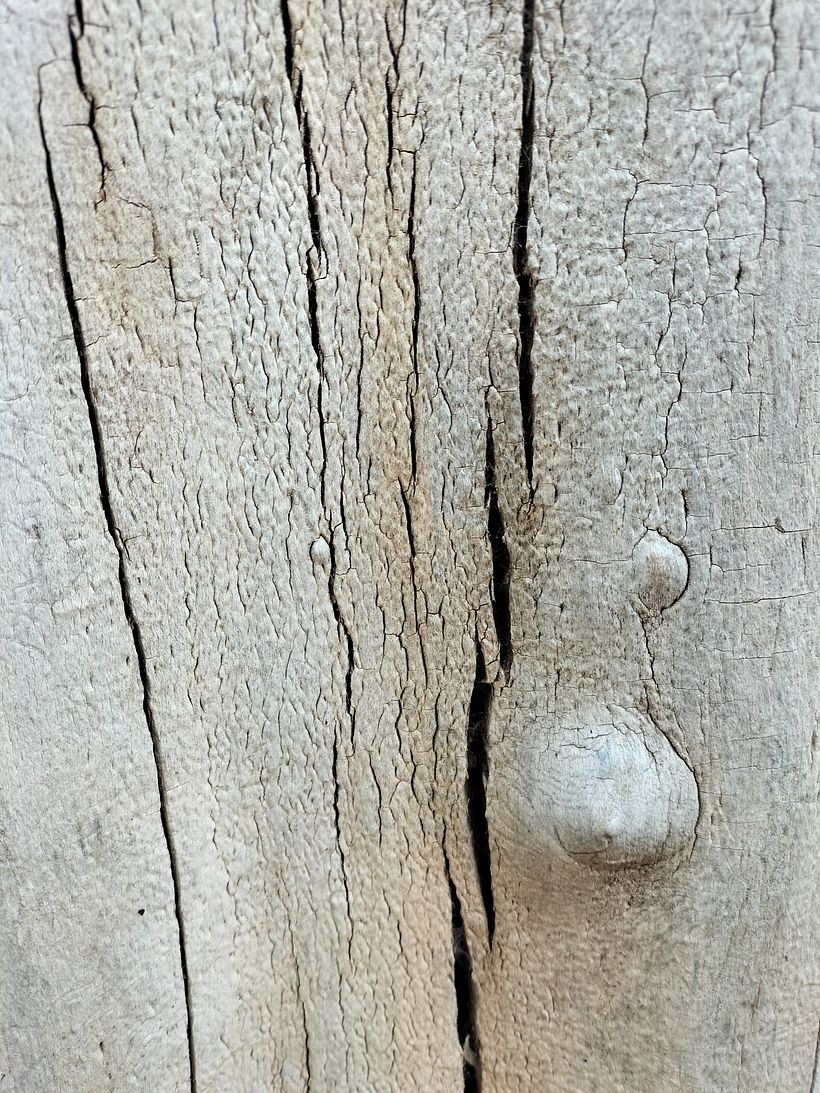 Sèries fotogràfiques de Cultura Audiovisual 4