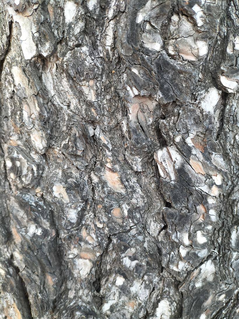 Sèries fotogràfiques de Cultura Audiovisual 2