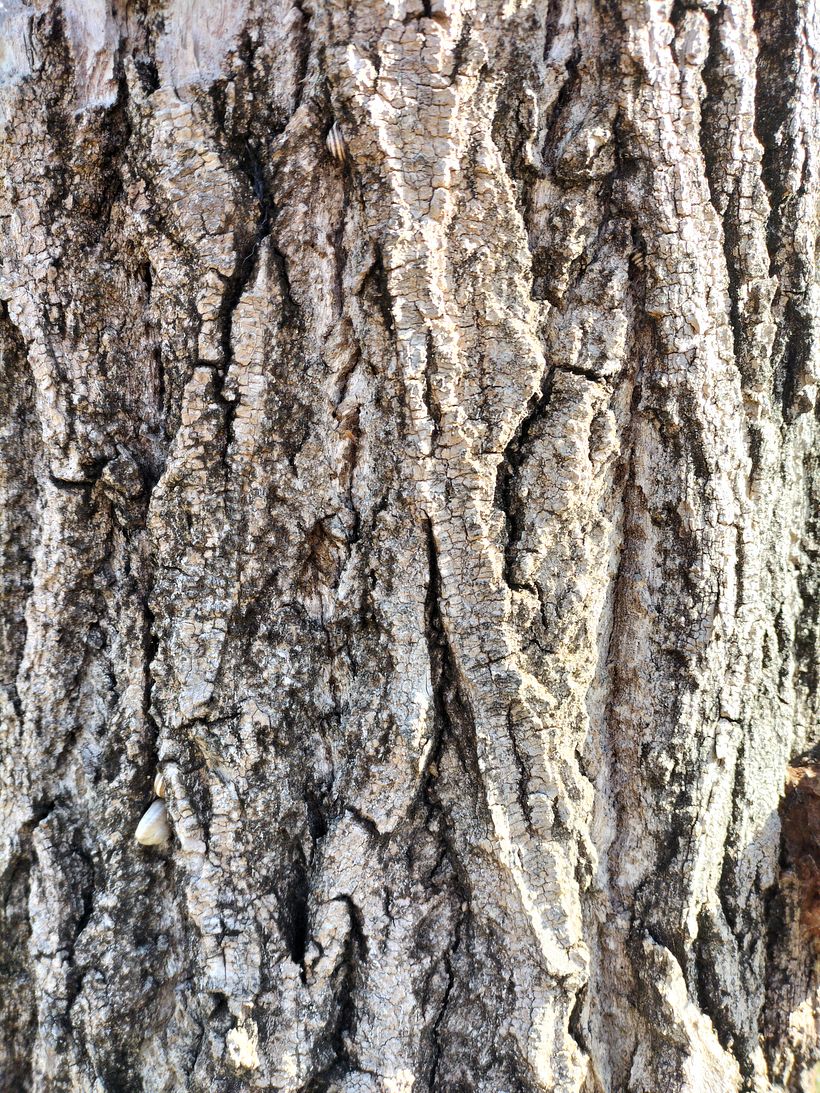 Sèries fotogràfiques de Cultura Audiovisual 1