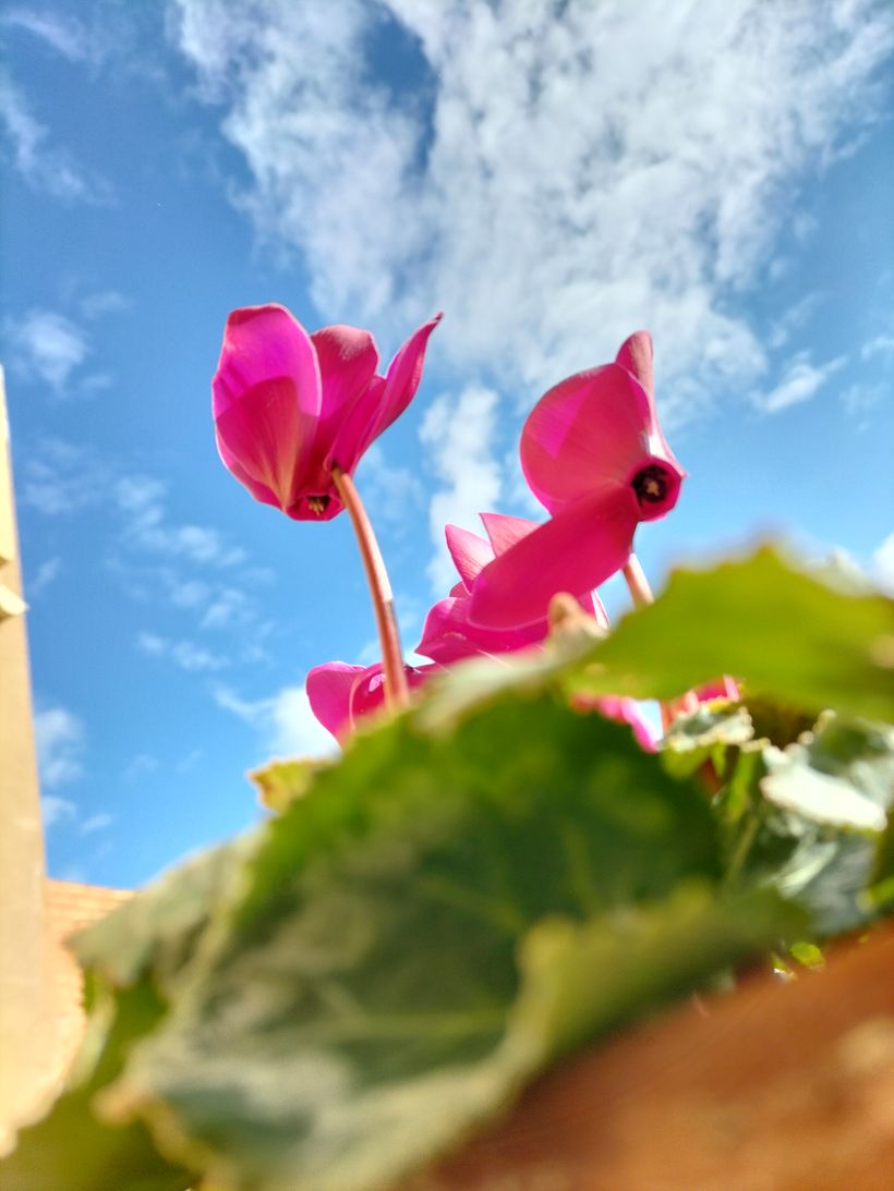 Sèries fotogràfiques de Cultura Audiovisual 3