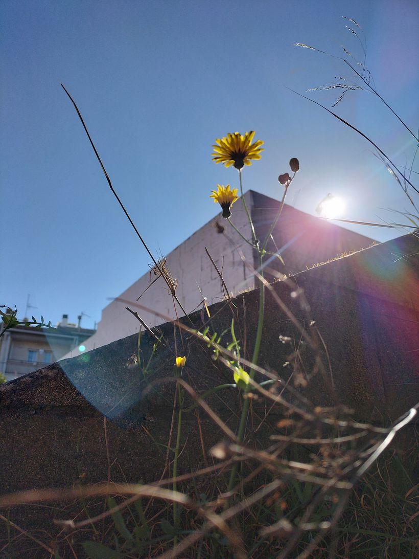 Sèries fotogràfiques de Cultura Audiovisual 1
