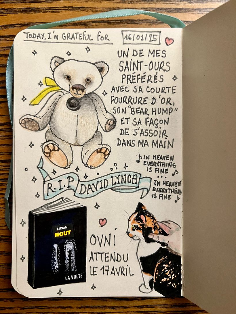 Carnet de gratitude : January 2025 sketchbook 1
