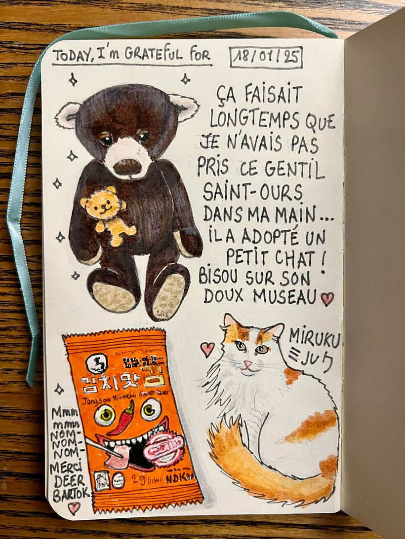Carnet de gratitude : January 2025 sketchbook 1