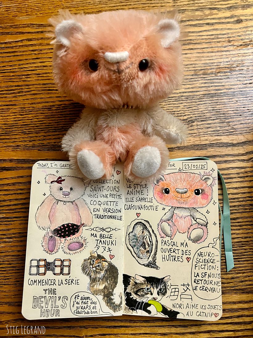 Carnet de gratitude : January 2025 sketchbook 1