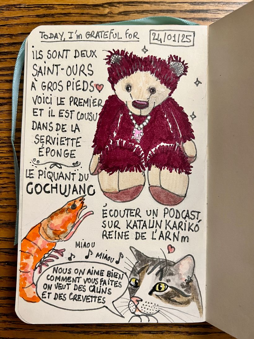 Carnet de gratitude : January 2025 sketchbook 1