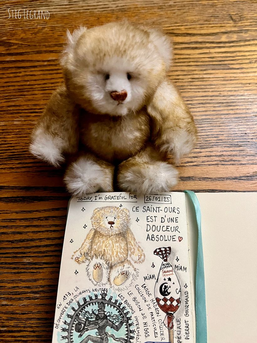 Carnet de gratitude : January 2025 sketchbook 1